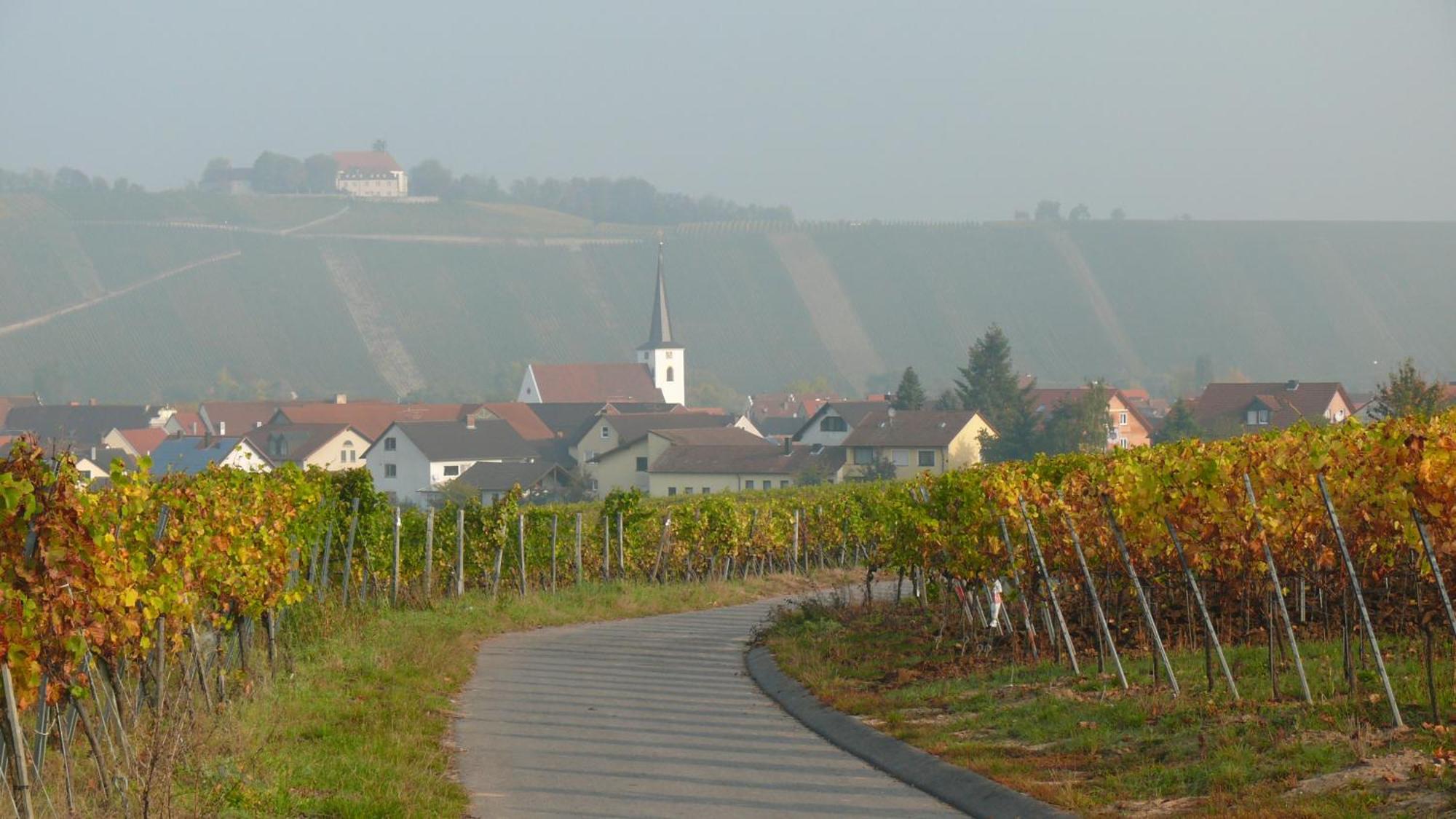 Weingut Herbert Kram Nordheim am Main Eksteriør billede